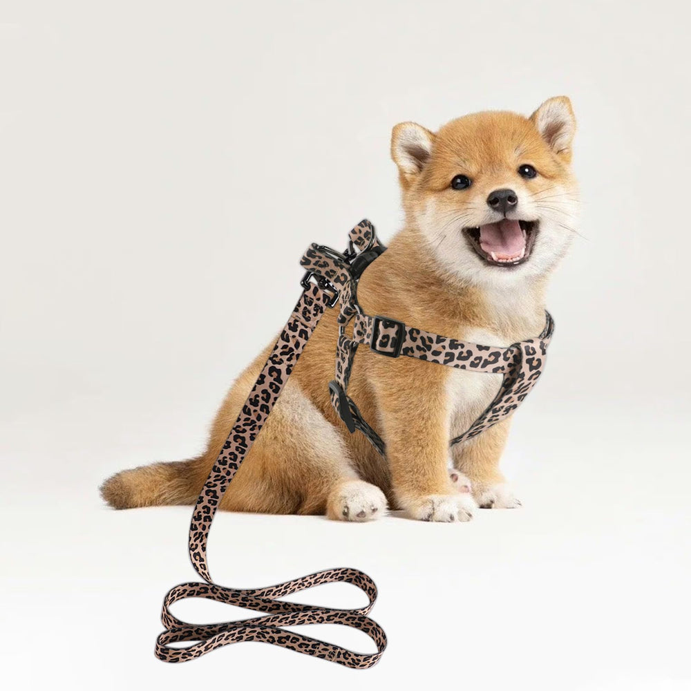 QQPETS diseño patrón elegante para mascotas que destacan durante los paseos.
