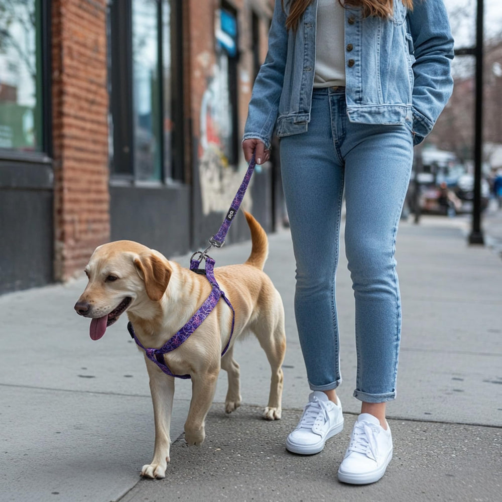 QQPETS diseño con patrón llamativo para paseos con estilo.