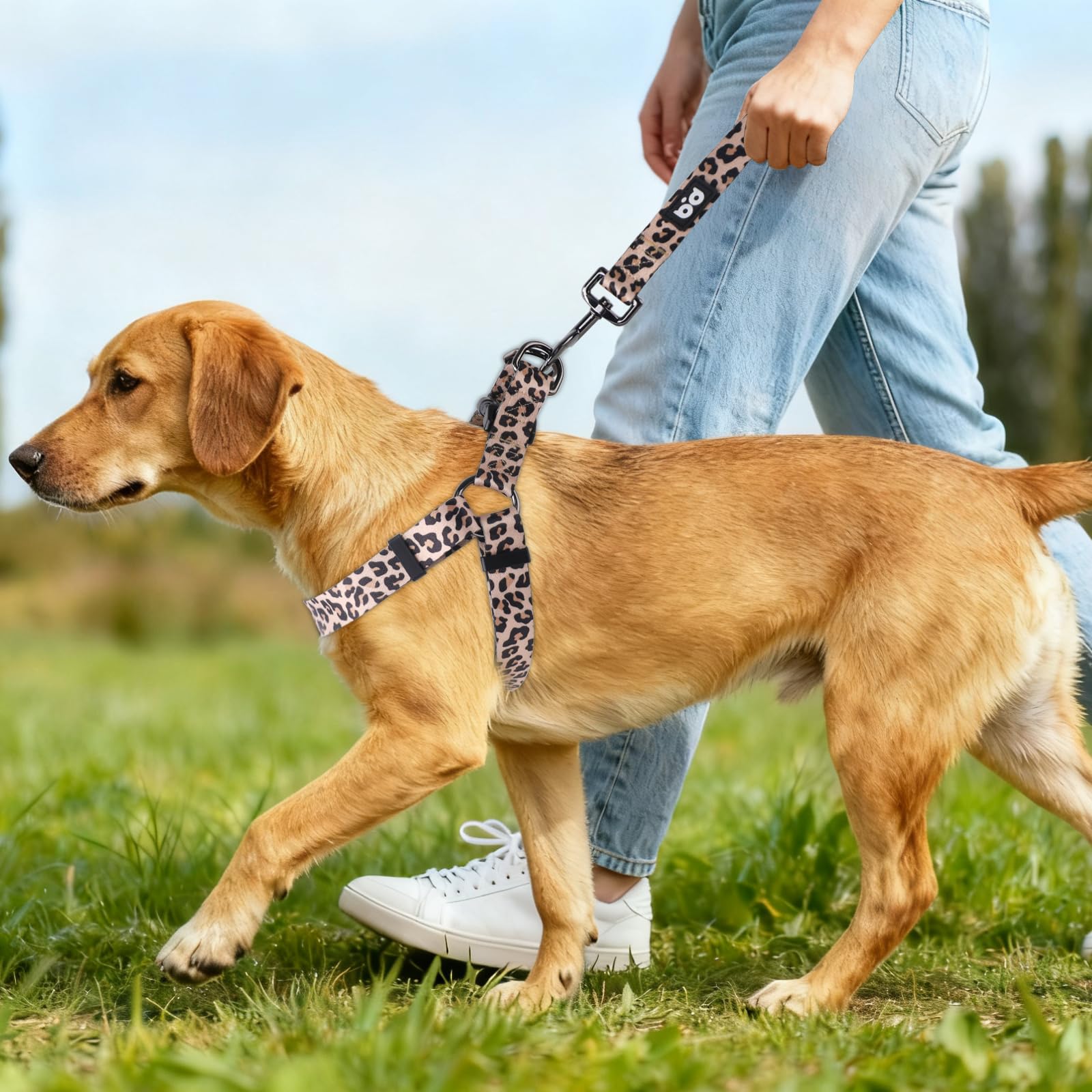 QQPETS diseño con patrón visual para mayor visibilidad.