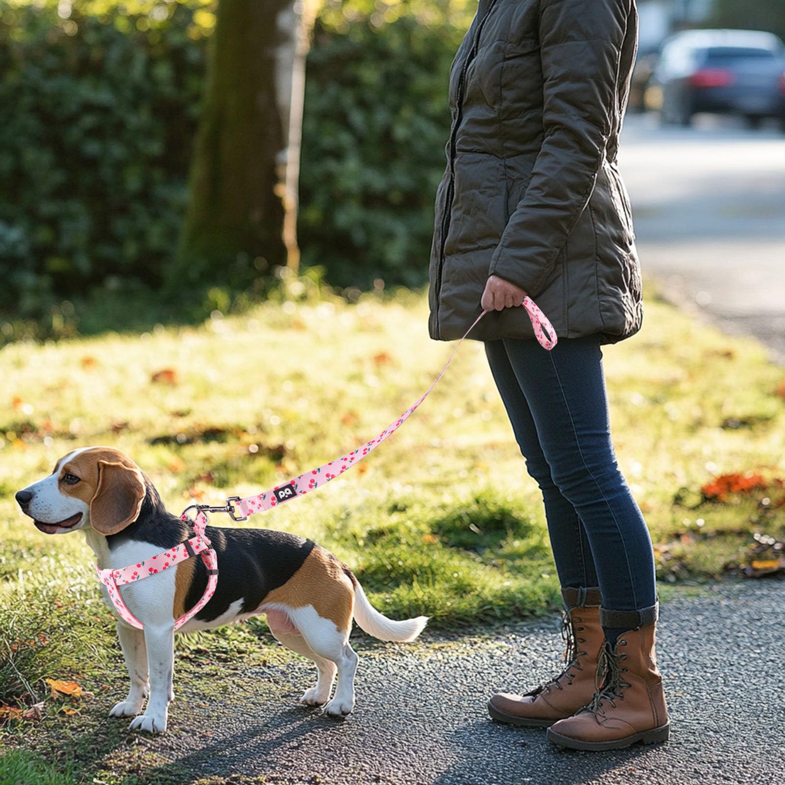 QQPETS diseño anti-torsión para evitar giros durante caminata.