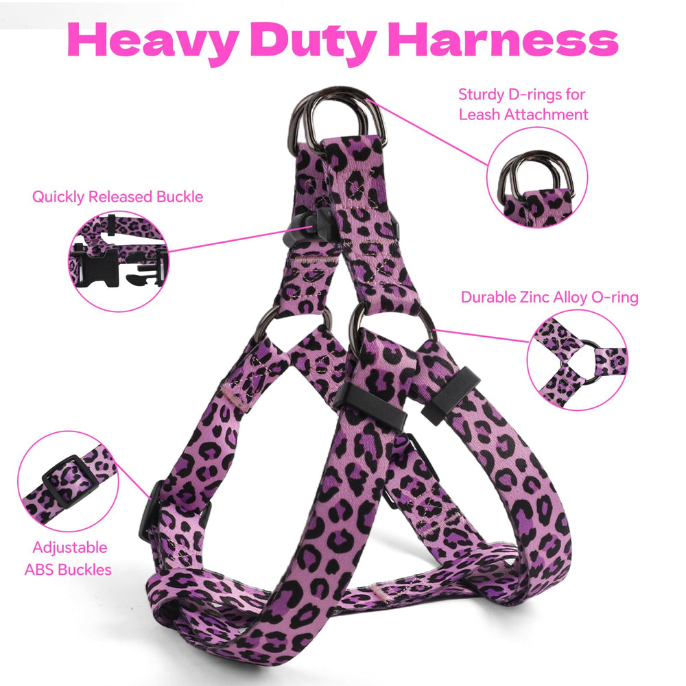QQPETS diseño estampado único en arnés que destaca durante paseos