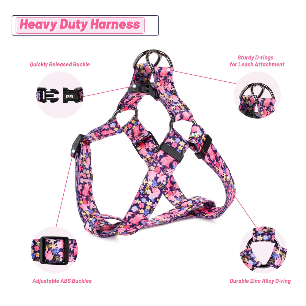 QQPETS diseño patrón atractivo realza estilo único durante paseos