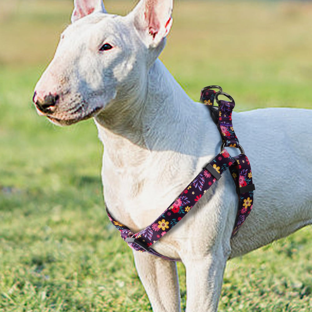 QQPETS diseno-patrones-perro-atractivo: estilo visible en cada paseo.