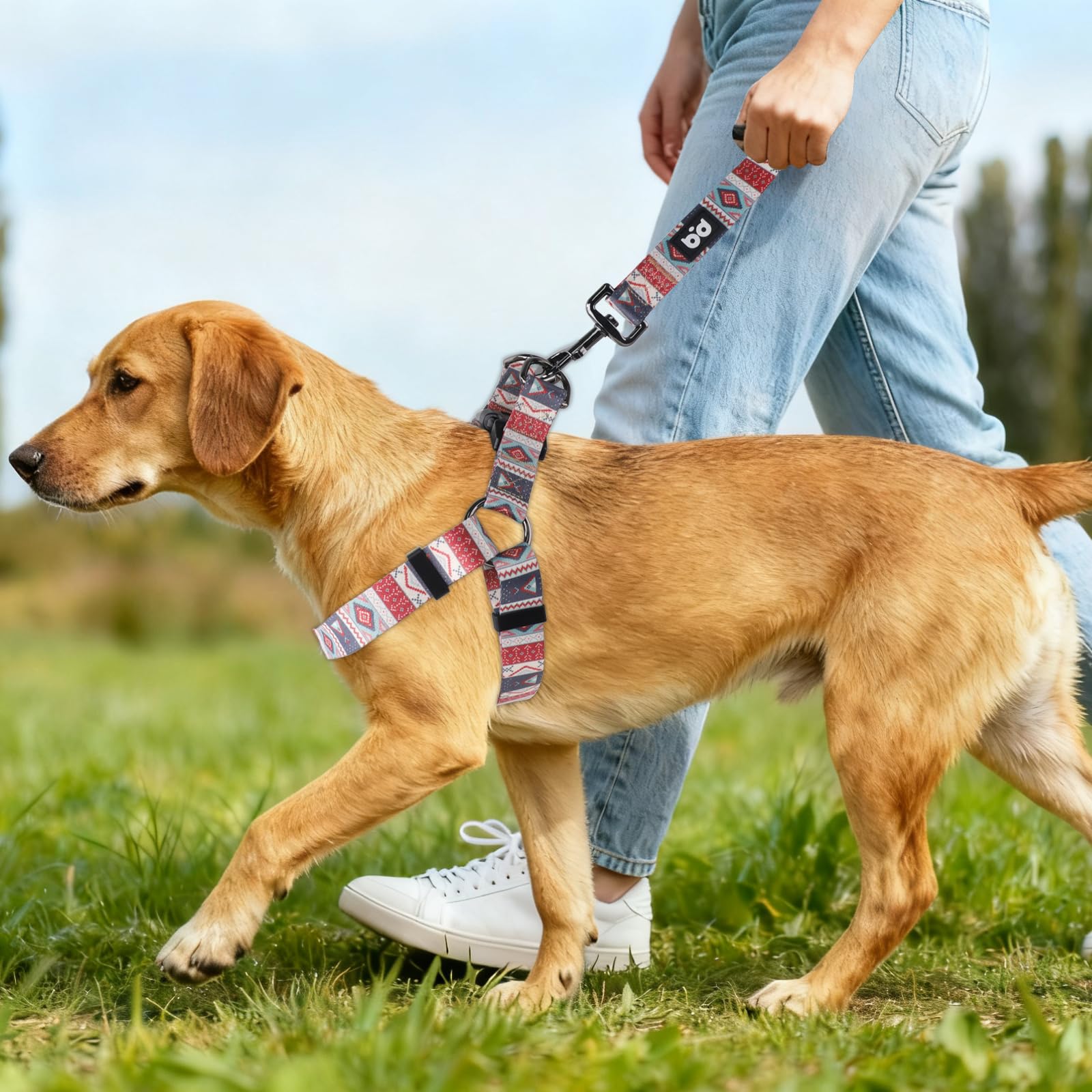 QQPETS diseño con patrón llamativo para paseos con estilo.