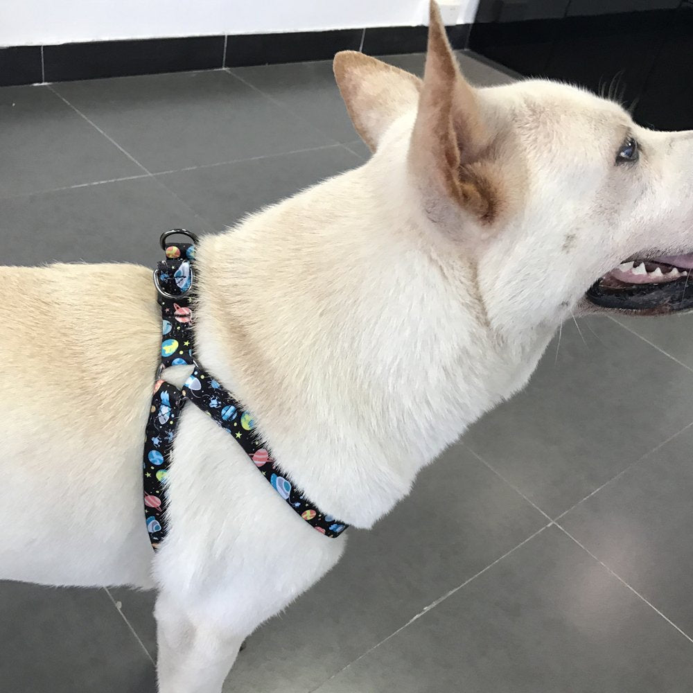 QQPETS dos correas ajustables para uso diario y control.