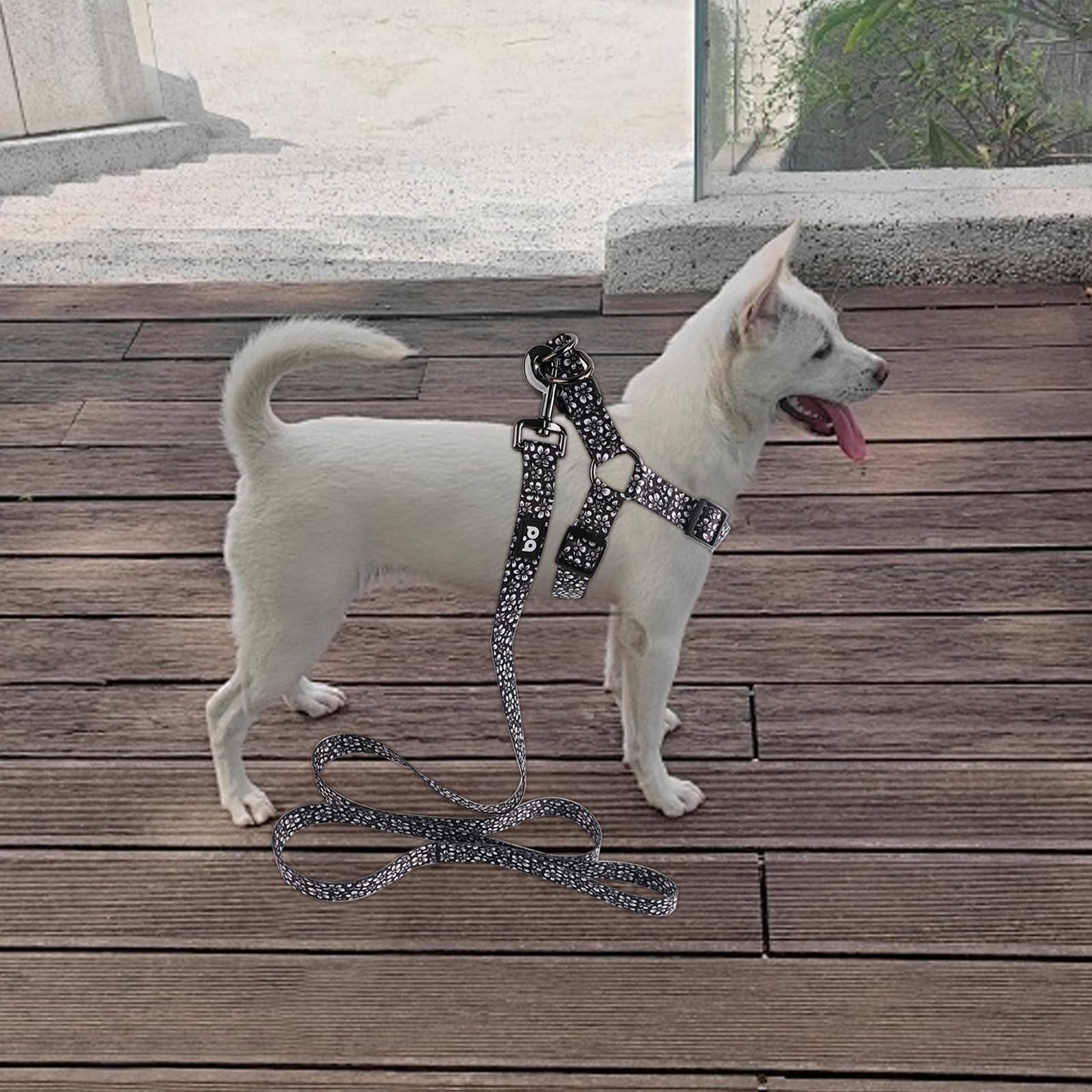 QQPETS dos correas ajustables permiten un ajuste seguro.