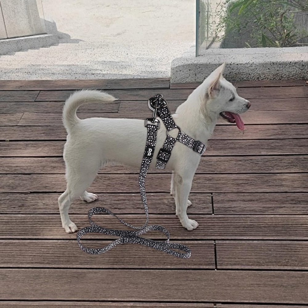 QQPETS dos correas ajustables permiten un ajuste seguro.
