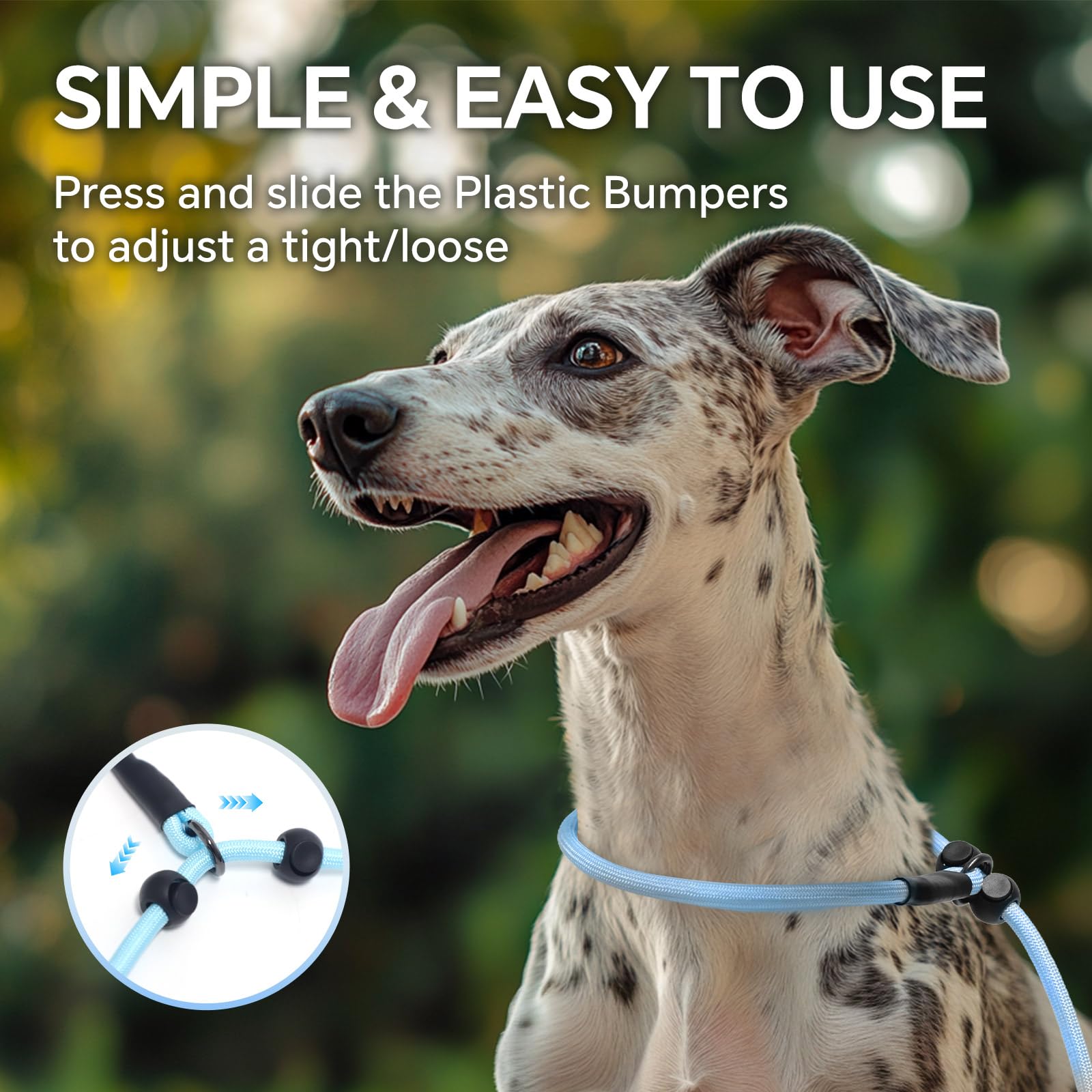 QQPETS, giro de 360° anti-enredos para paseos sin nudos.