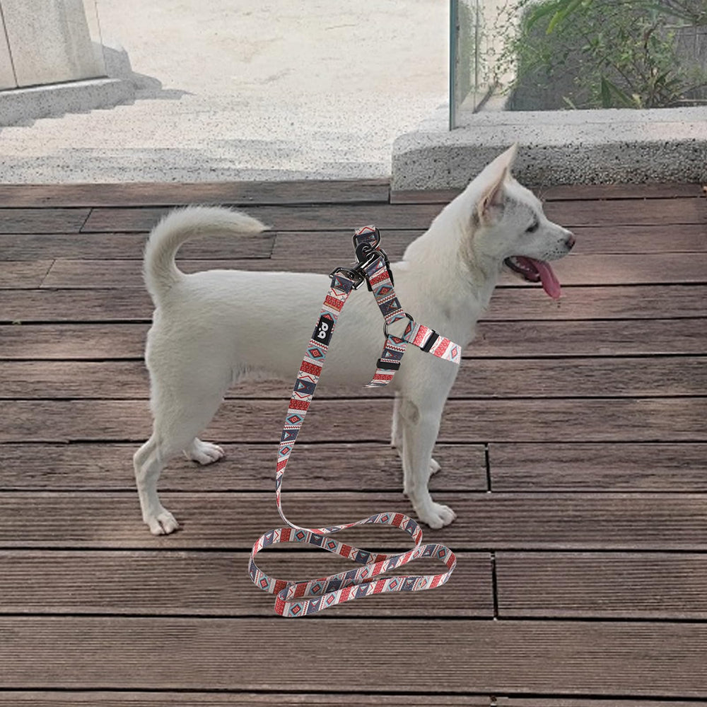 QQPETS hardware duradero para uso diario y seguridad.
