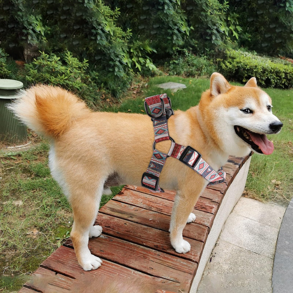 QQPETS material poliéster suave que cuida el cuello.