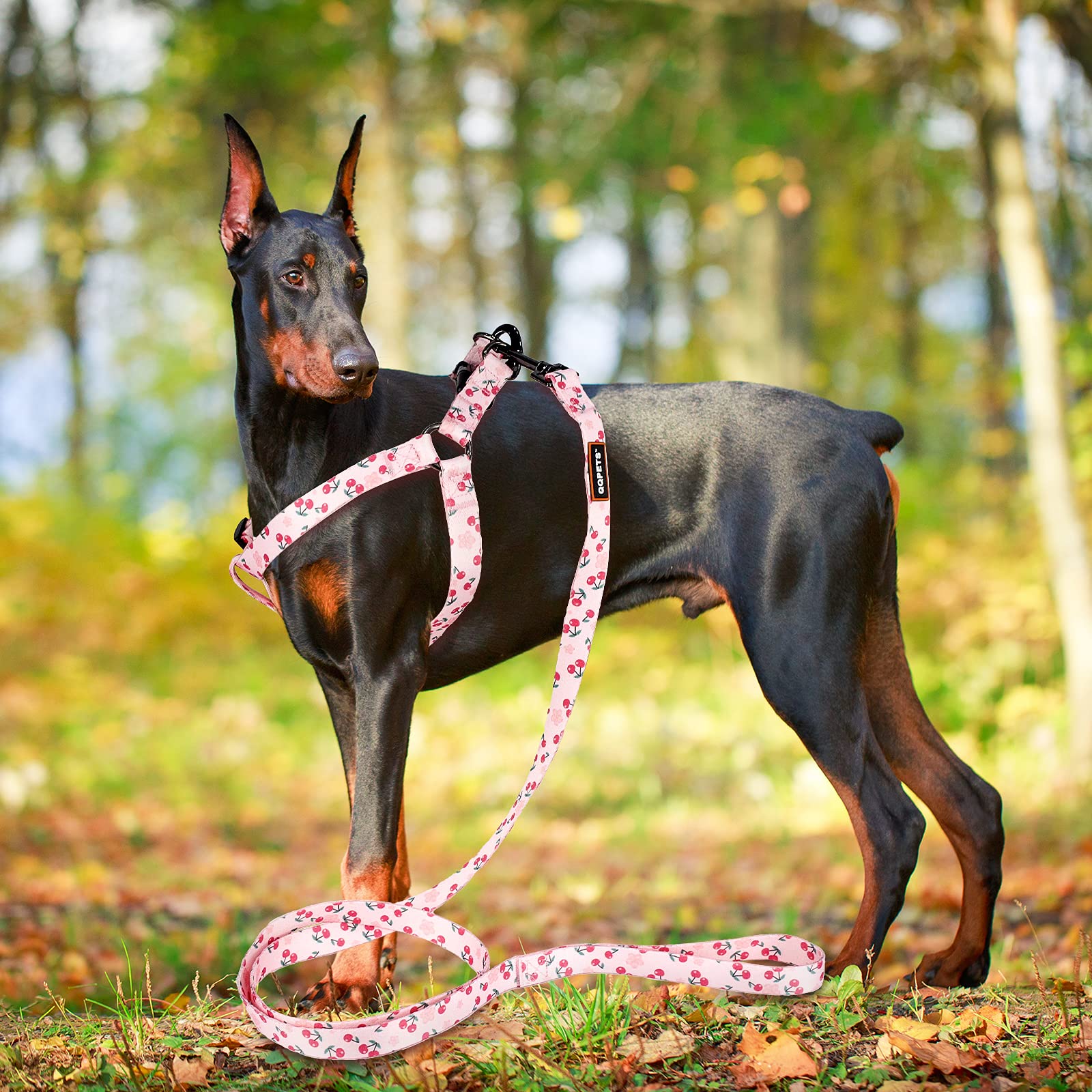 Paseo cómodo con QQPETS, diseño y visibilidad para perros