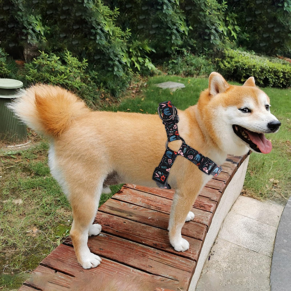 QQPETS arnés para perros de diferentes tallas, uso versátil