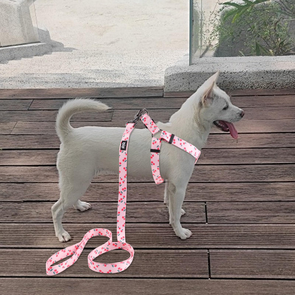 QQPETS poliéster suave, comodidad en el cuello durante el paseo.