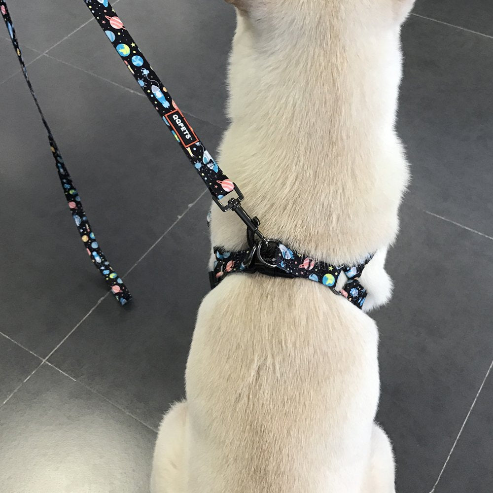 QQPETS set arnés y correa para perros de varios tamaños.