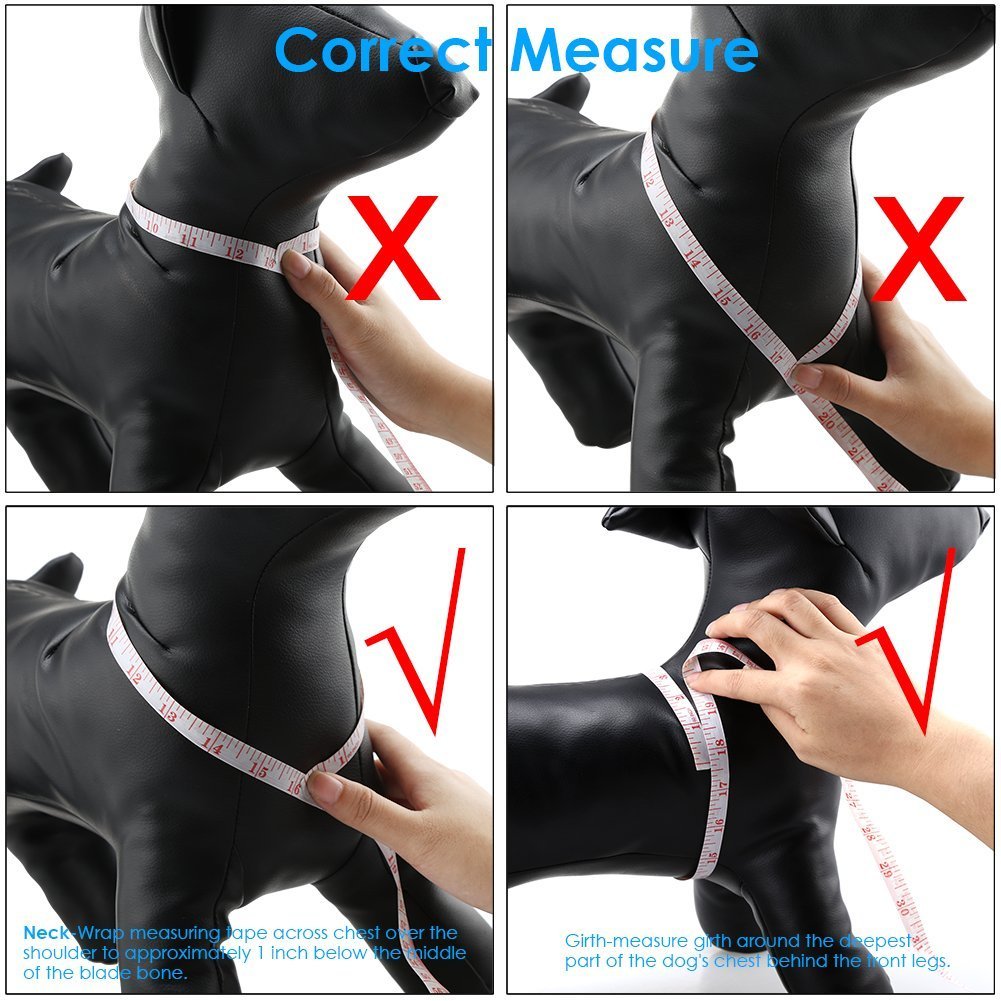 QQPETS set de arnés y correa para perros de cualquier tamaño