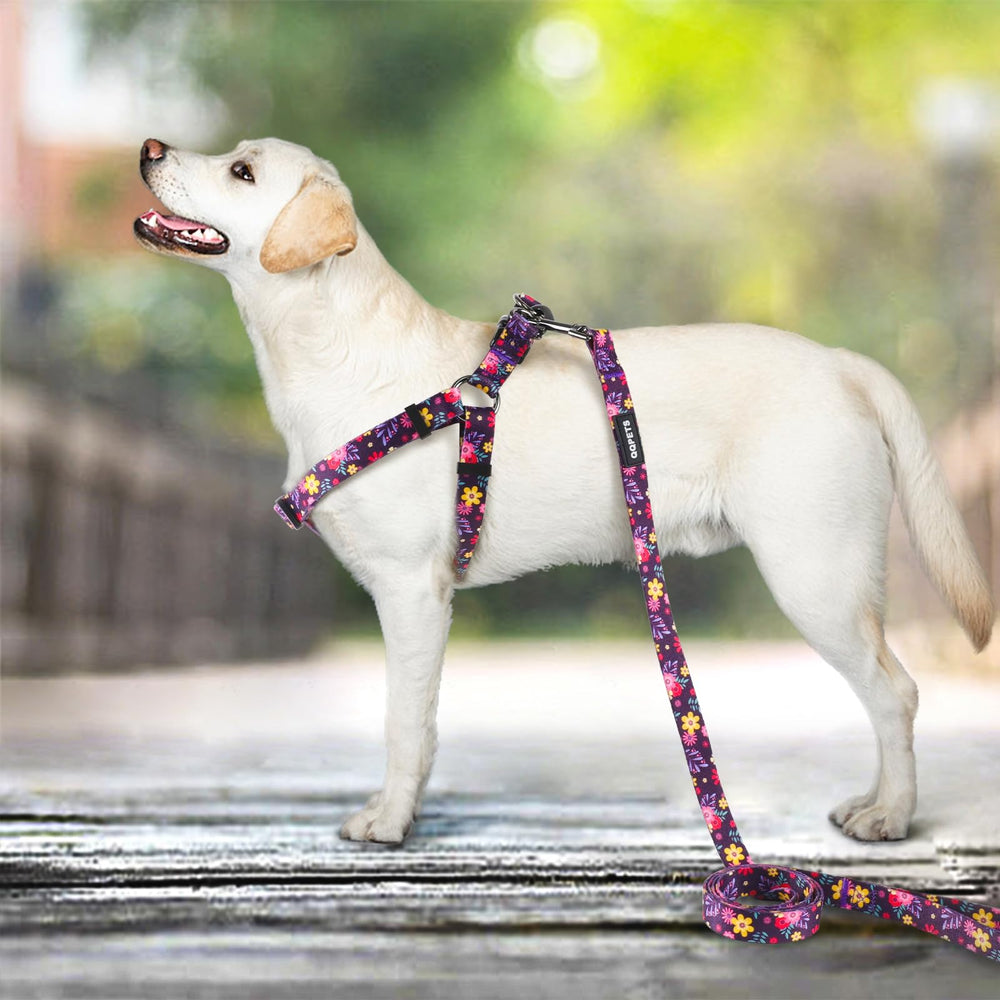 QQPETS-tallas-para-todo-tamano-perros: ajuste seguro de XS a L.