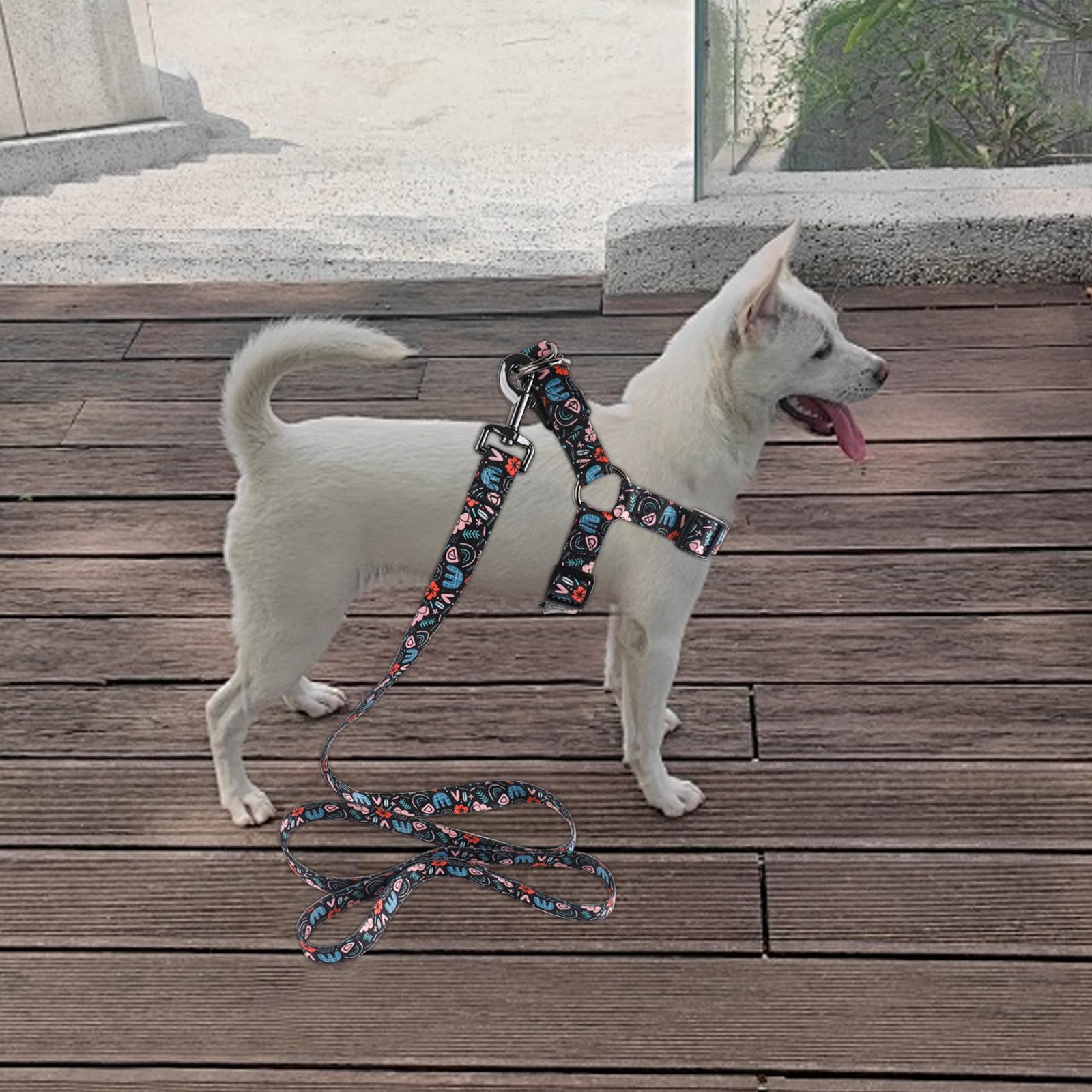 QQPETS tallas-xs-sm-md-lg, ajuste perfecto para razas diversas.