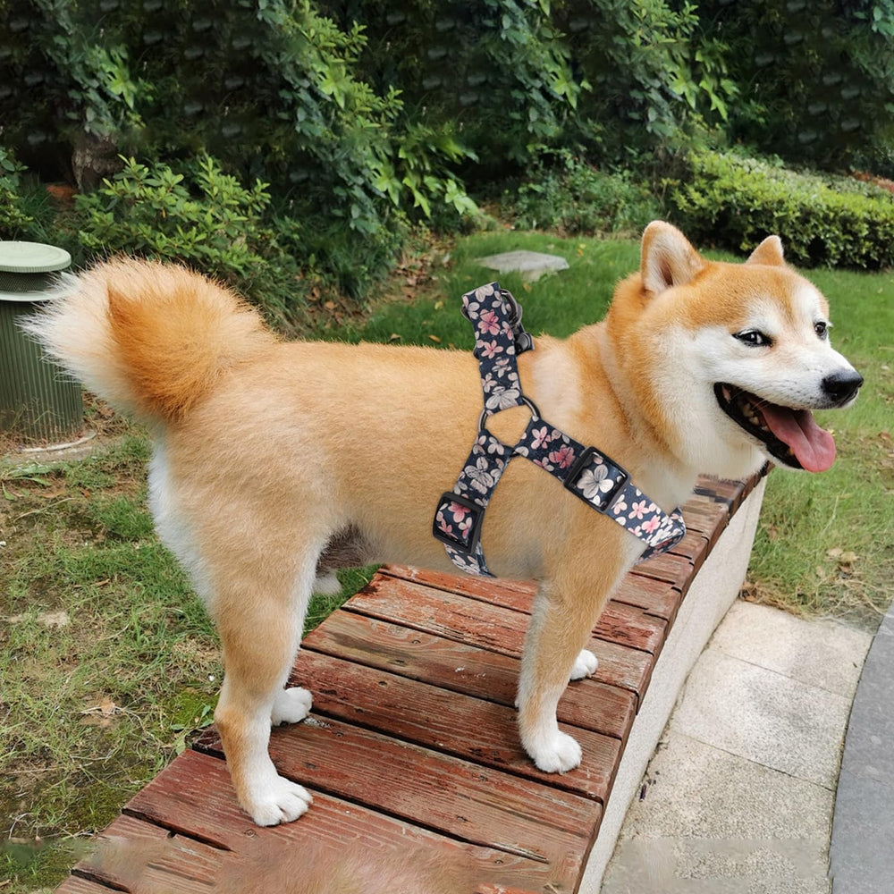 QQPETS uso diario para paseos sin tirones y control