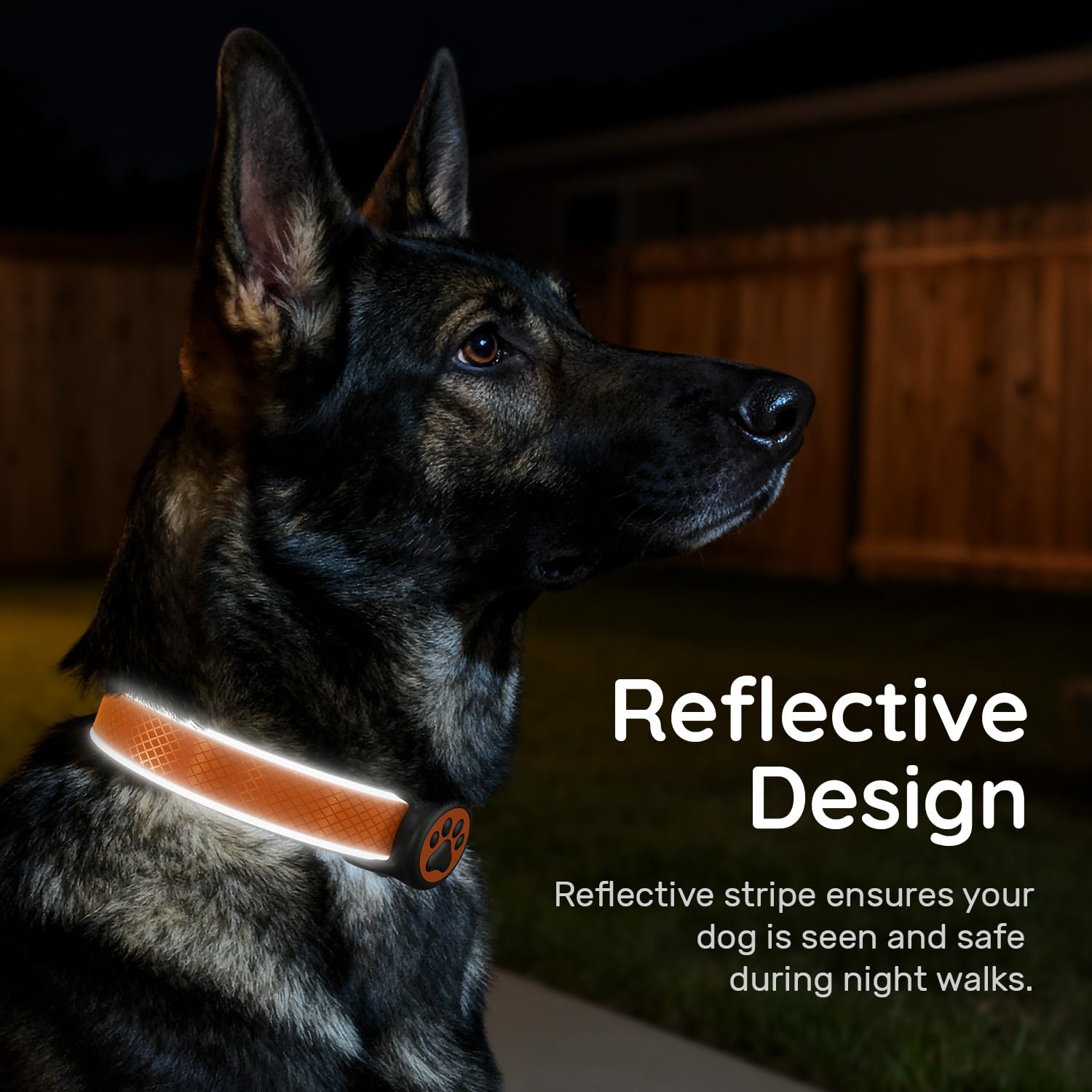 QRTAGLAB Oxford resistente: collar duradero para perros activos.