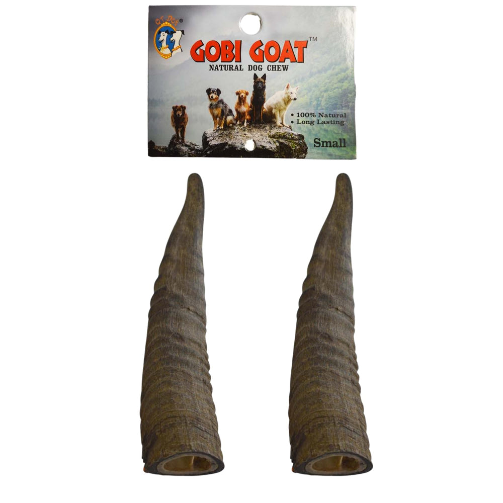 QT Dog cuernos GOBI pequeños con médula para juego prolongado