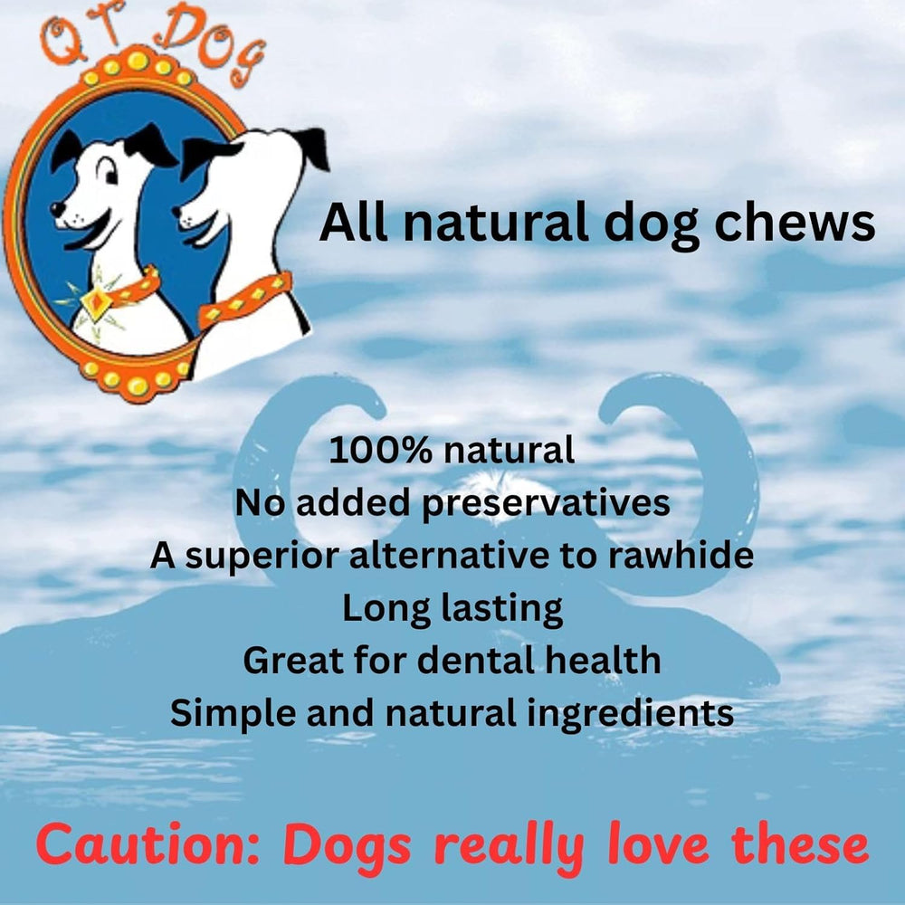 Uso diario de cuernos Gobi QT Dog, opción limpia para masticar