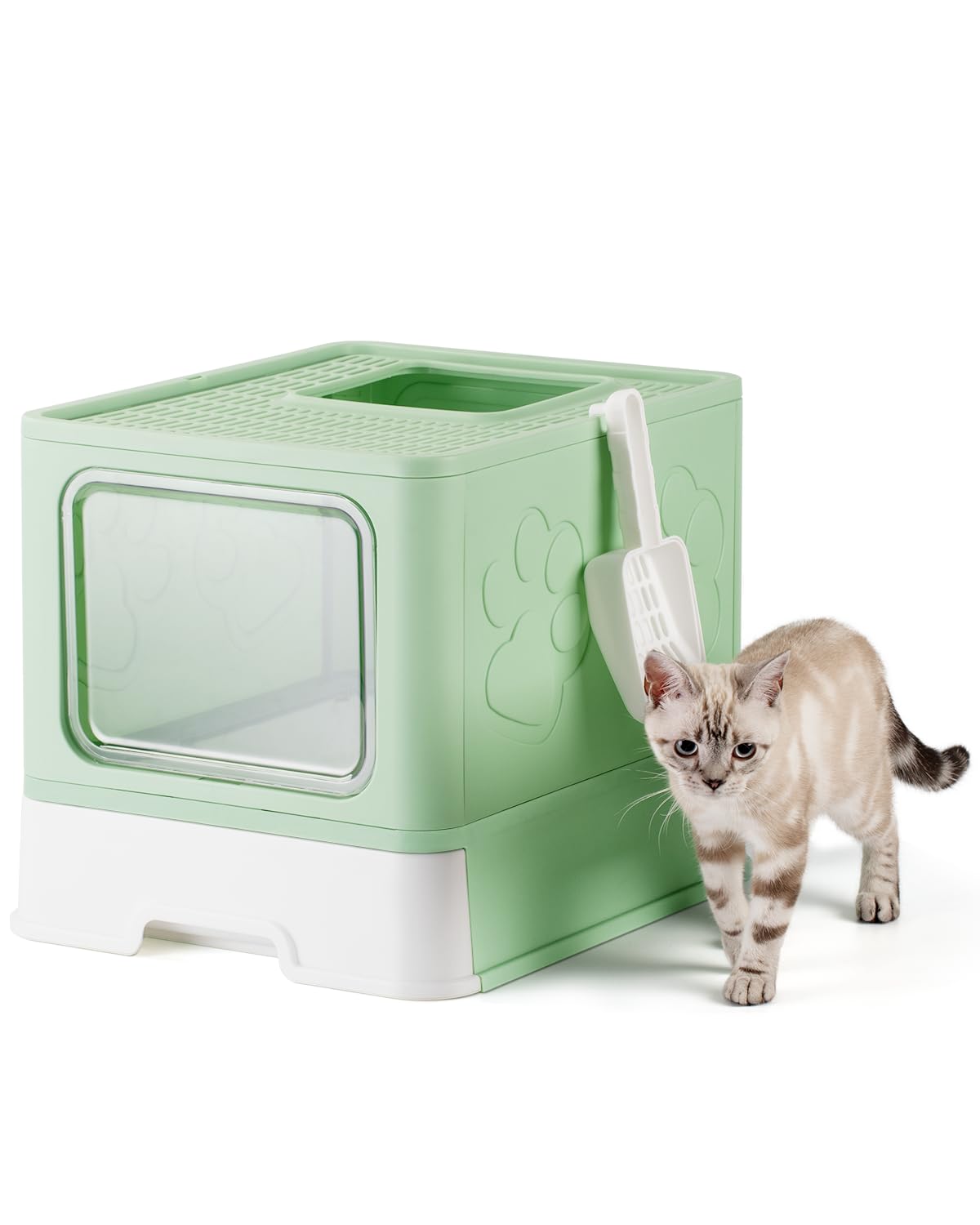 Qualasision caja de arena encerrar con entrada superior para gatos grandes y mayor privacidad.