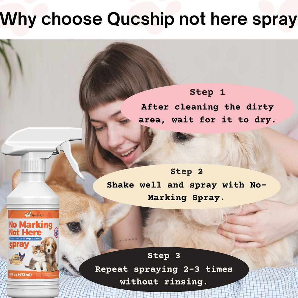 Uso seguro de Qucship: spray de larga duración para convivencia hogareña.