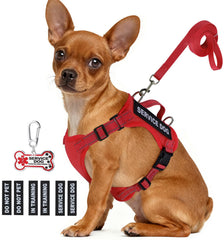 QUDLIMO chaleco ligero para perro pequeño con parche de identificación para entrenamiento seguro