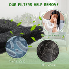 Quearn filtro carbón modelo 4 uso arenero, instalación rápida
