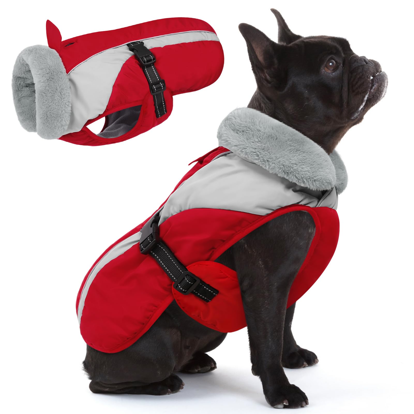 Queenmore abrigo para perro pequeño, vista frontal, ideal para paseos en frío.