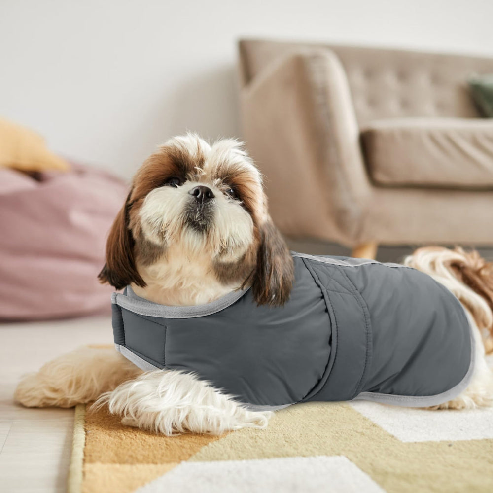 Diseño ergonómico de talla L en abrigo Queenmore para perros grandes.