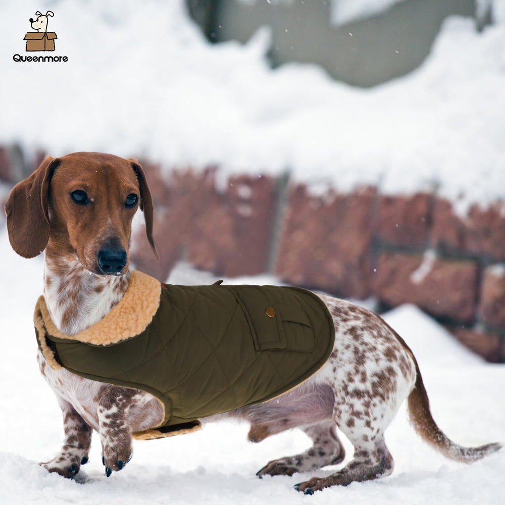 Queenmore abrigo para perro, vista trasera, bolsillos prácticos para accesorios.