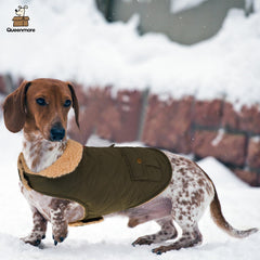 Queenmore abrigo para perro, vista trasera, bolsillos prácticos para accesorios.