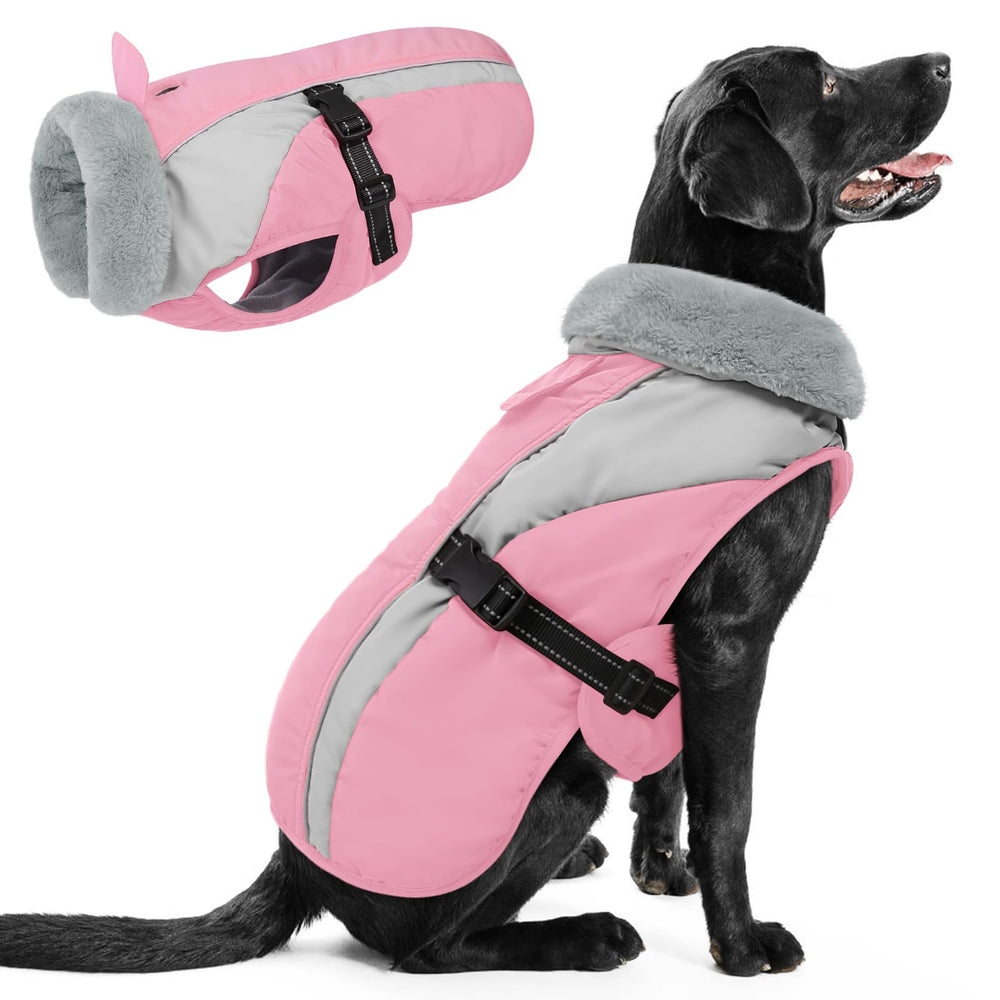 Queenmore abrigo para perro grande con hebilla rápida para vestir fácilmente durante paseos.