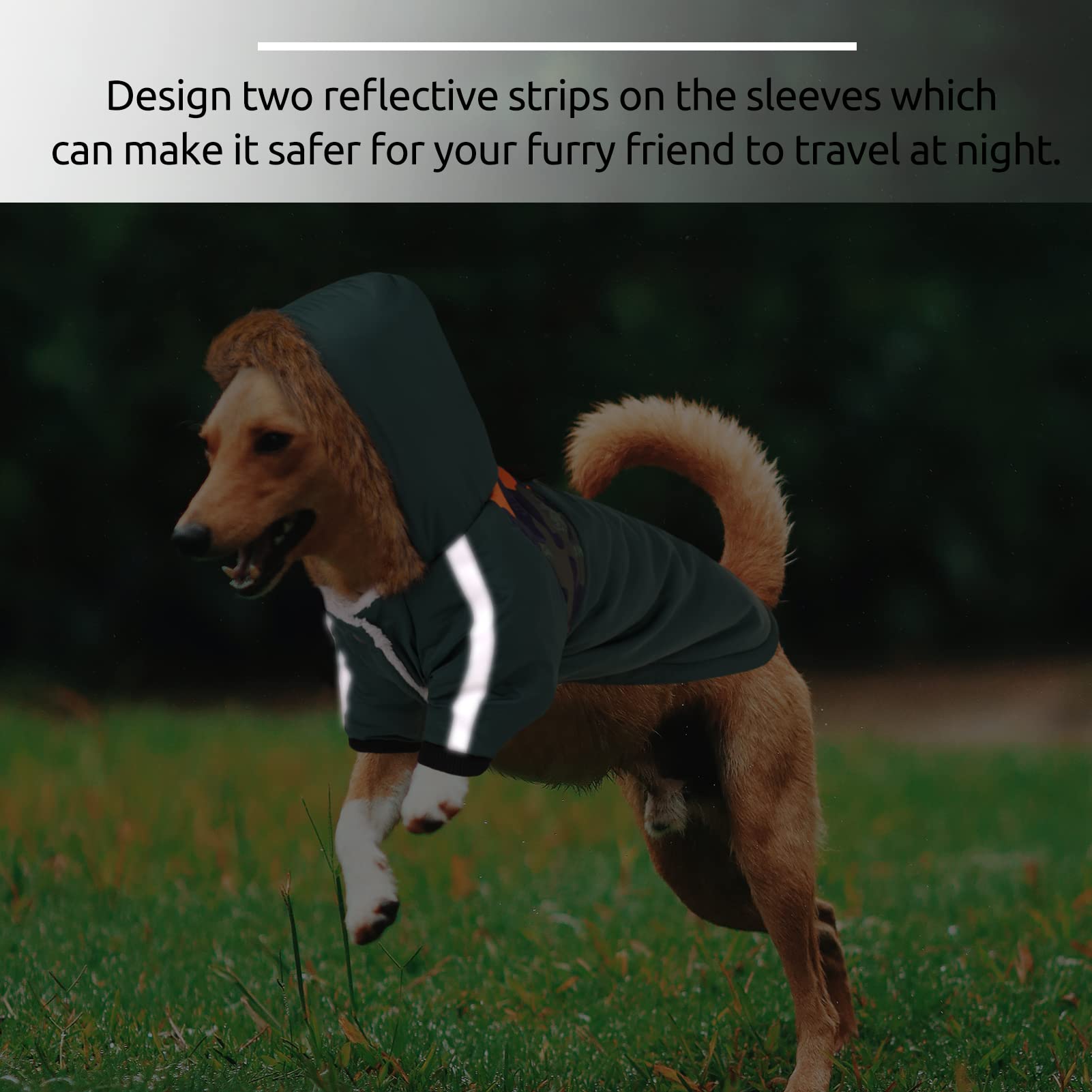 Queenmore abrigo con recubrimiento impermeable para lluvia y nieve