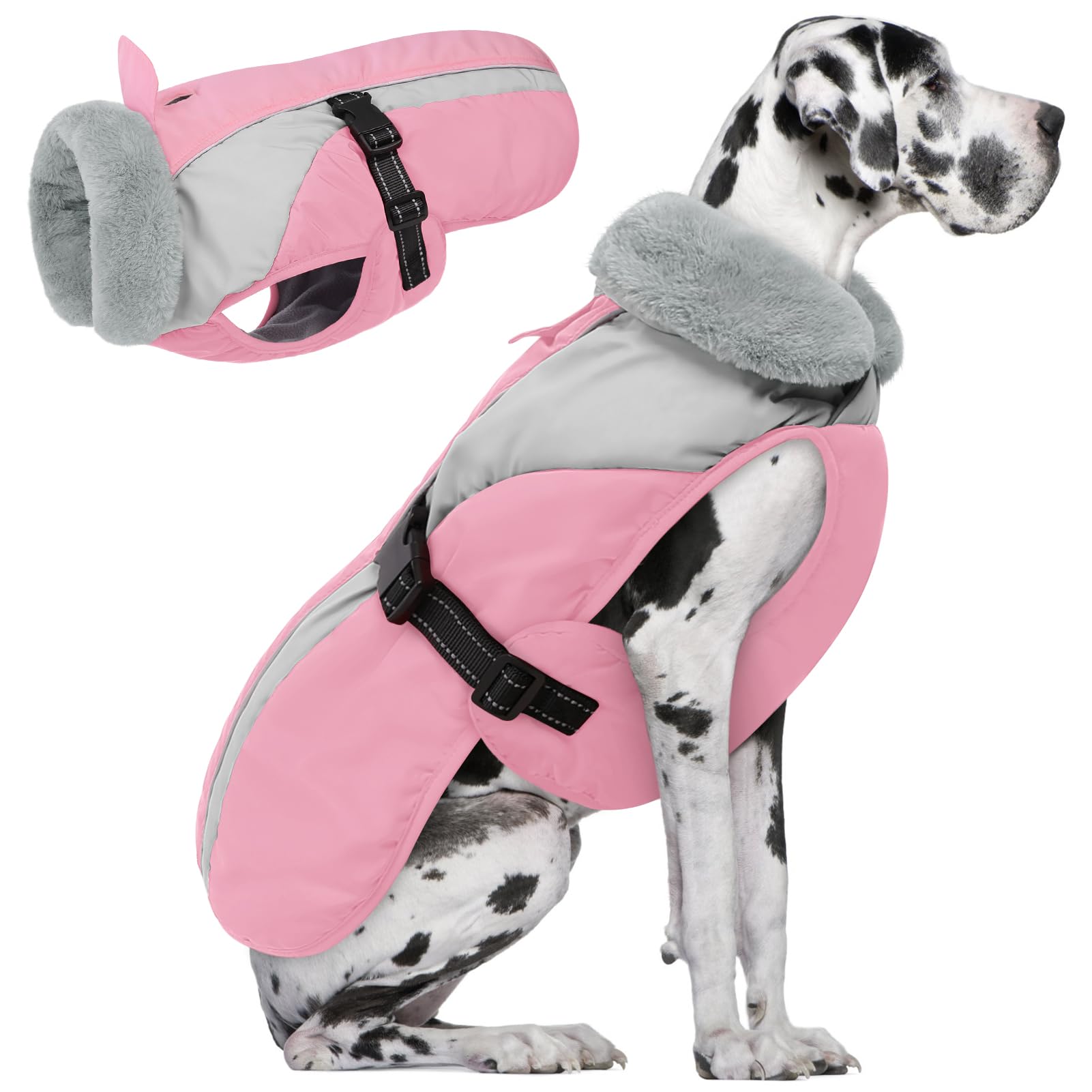 Queenmore abrigo para perro XXXXL frente, calor duradero para paseos fríos.