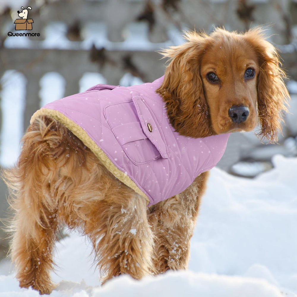 Queenmore abrigo para perros resistente al viento para climas invernales.
