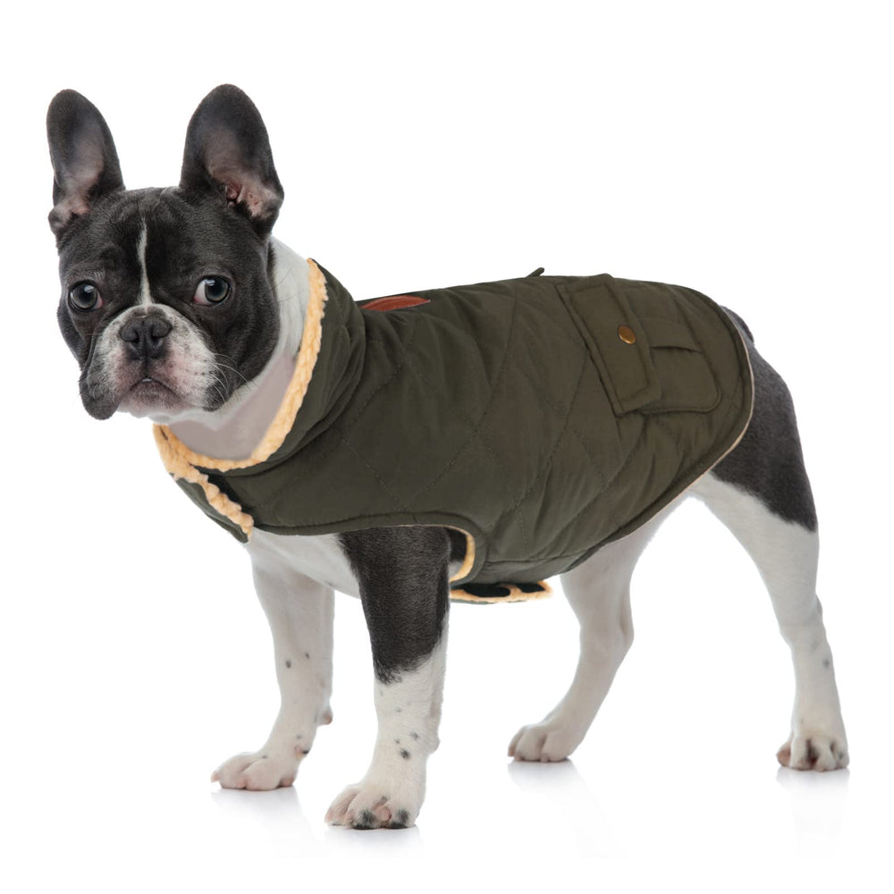 Queenmore abrigo para perro, talla XL, ajuste cómodo para perros grandes.