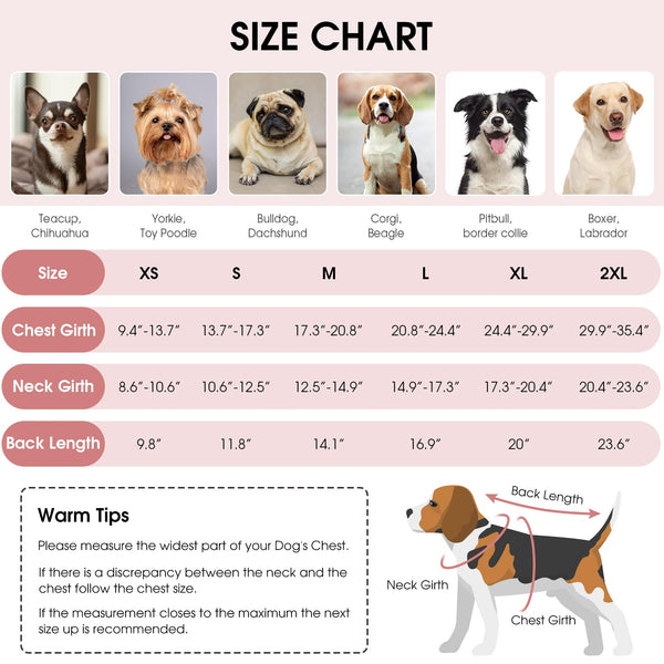 Queenmore abrigo impermeable para perro, vista frontal, protege contra lluvia y viento.