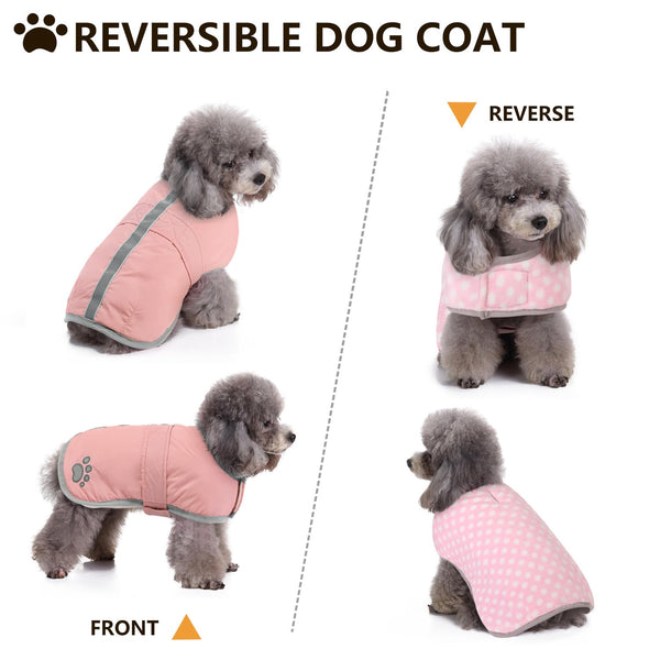 Queenmore abrigo para perro, vista reflectiva, mejora visibilidad en rutas oscuras.