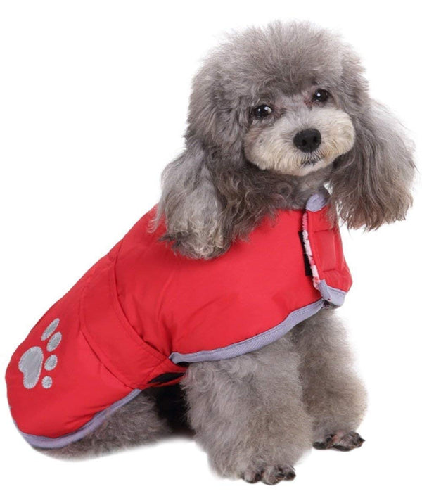 Queenmore abrigo para perro frío, vista frontal, mantiene al animal cálido y cómodo.