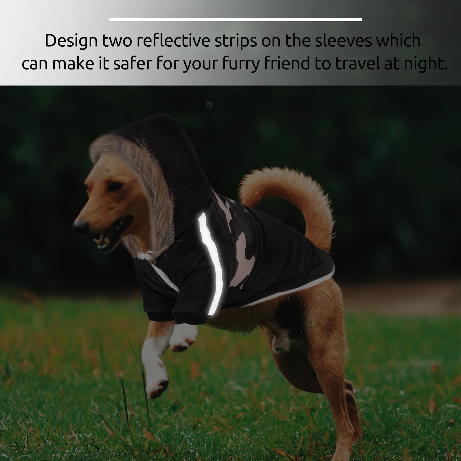 Queenmore abrigo con orificio para collar, compatible con arnés.