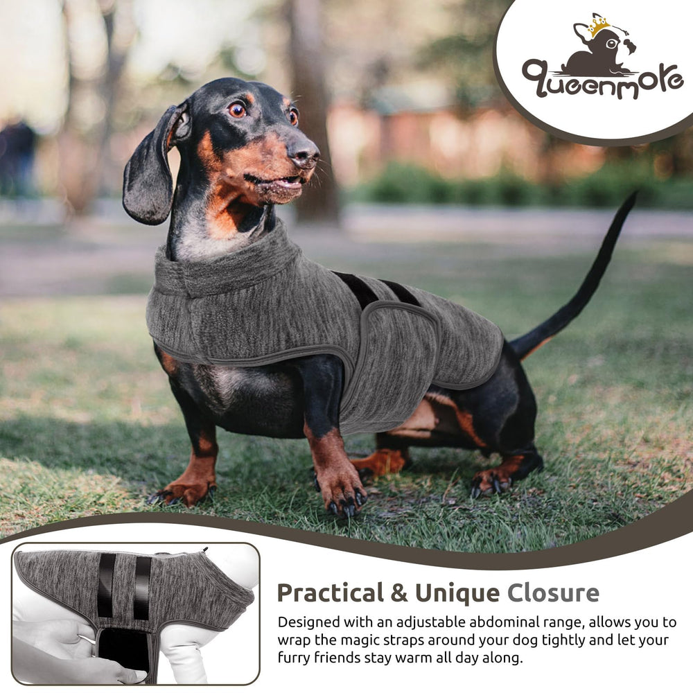Queenmore ajuste abdominal ajustable para perros medianos