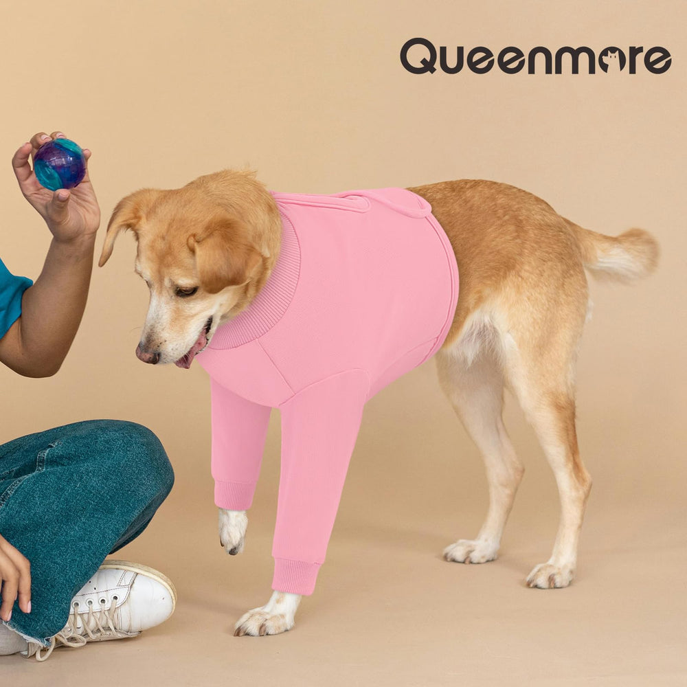 Queenmore alternativa al cono, permitiendo más libertad durante la recuperación.