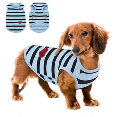 Queenmore camiseta-perro algodón ligero: tela suave y transpirable para uso diario.