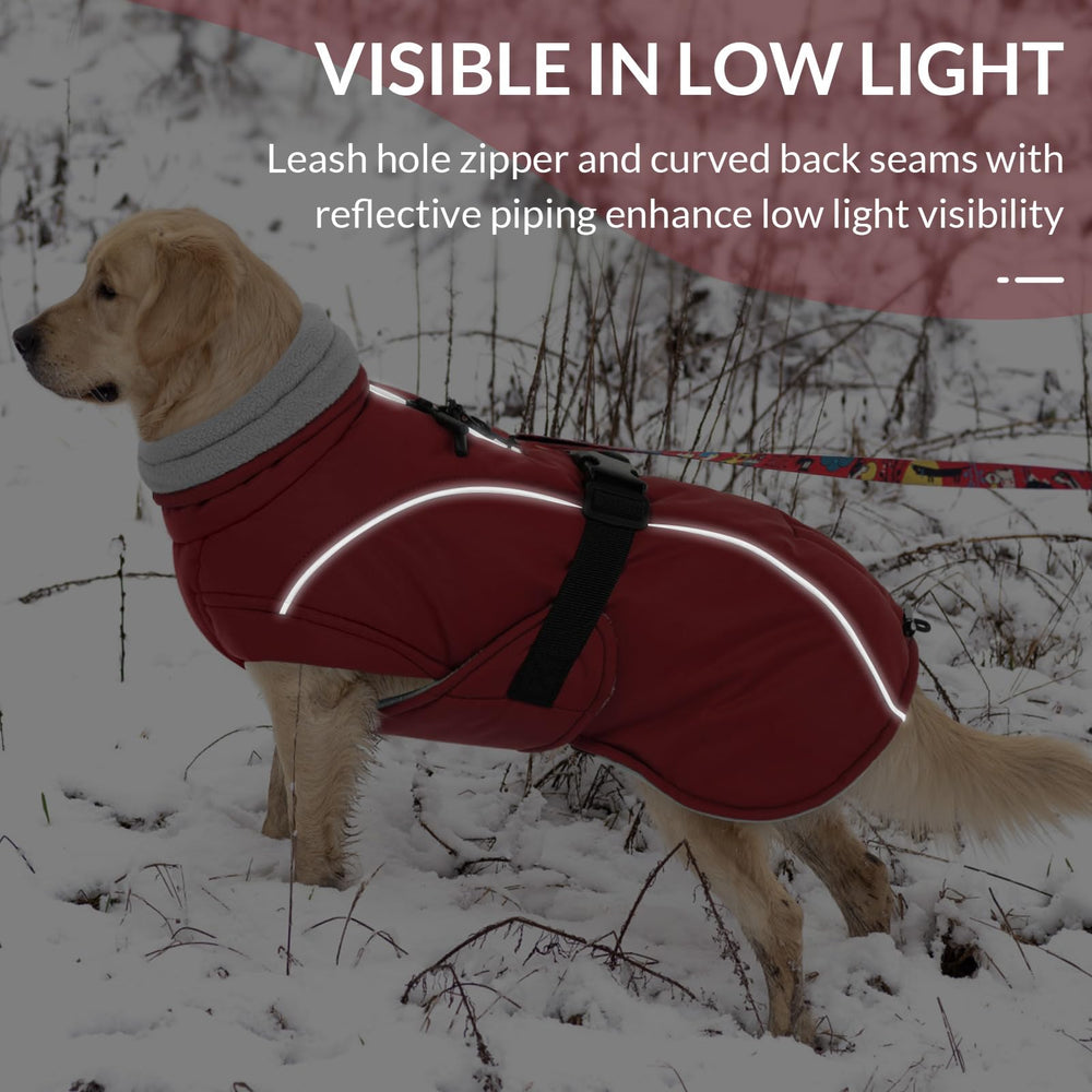 Queenmore capa perro detalle reflectivo para seguridad en paseos.