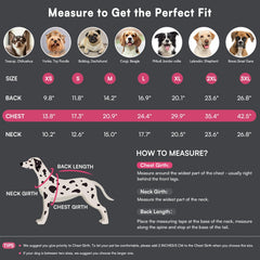Queenmore capa para perro con harness integrado ofrece sujeción segura