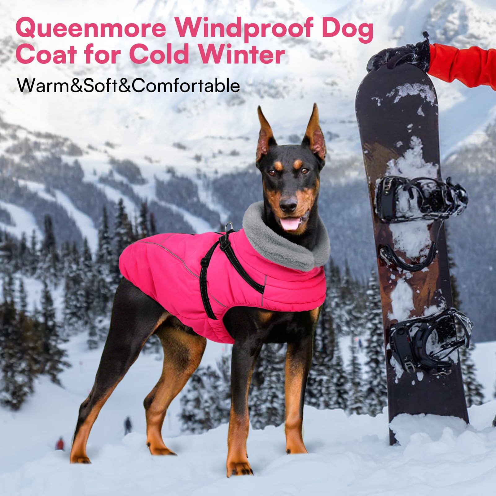 Queenmore capa impermeable de tejido mantiene al perro seco