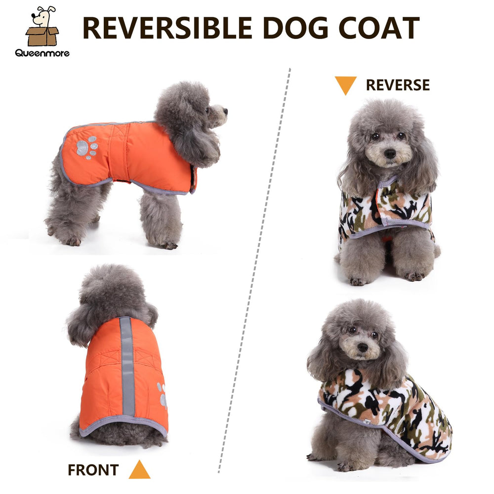 Queenmore capa perro lluvia nieve protege durante salidas