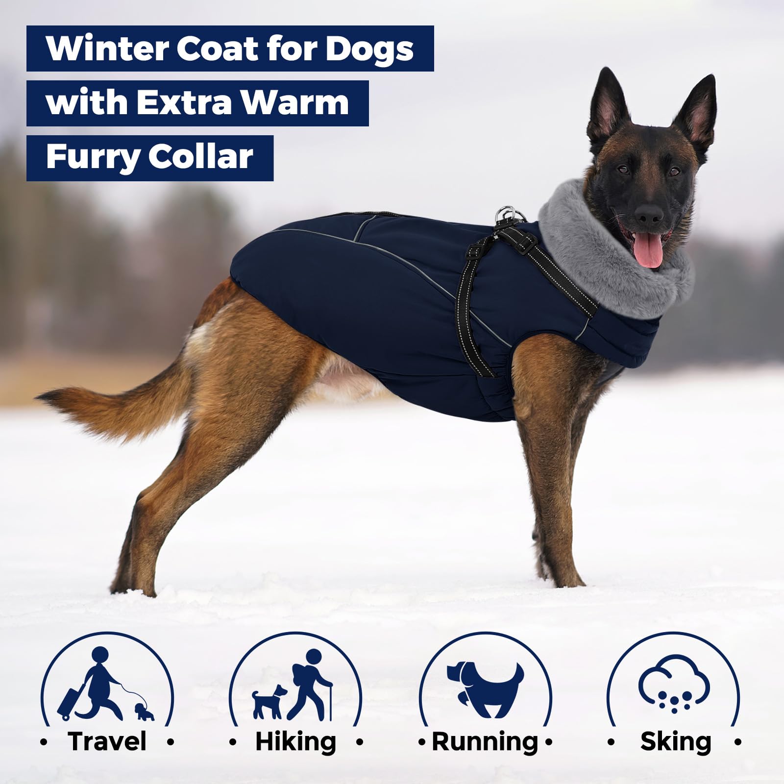 Queenmore capa adecuada para perros grandes, disponible en tallas XXL.